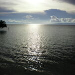 SANYO DIGITAL CAMERA